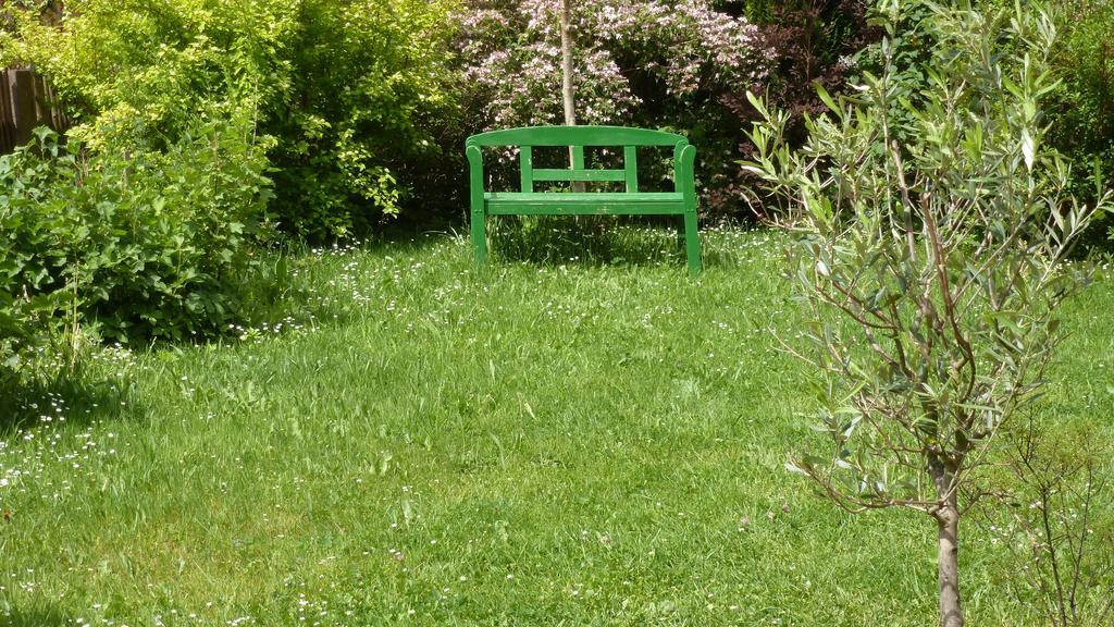 Alte Schule Lägenhet Tambach-Dietharz Exteriör bild